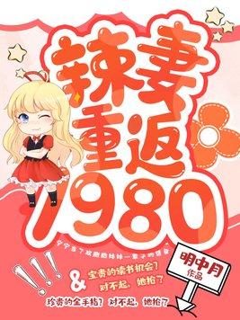 辣妻重返1980有相似的書嗎