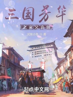 三國芳華之家父袁紹無錯版