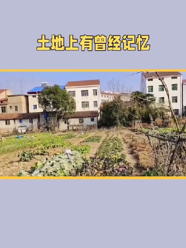 土地上會是什麼意思