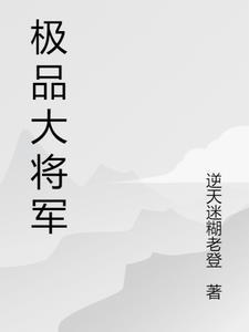 極品上将平民攻略