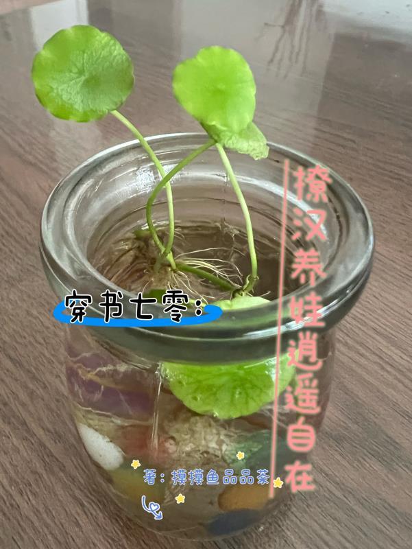 穿书七零撩汉养娃逍遥自在 作者摸摸鱼品品茶