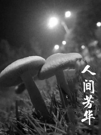 人間芳華龐善強