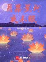 月落星河夜未眠